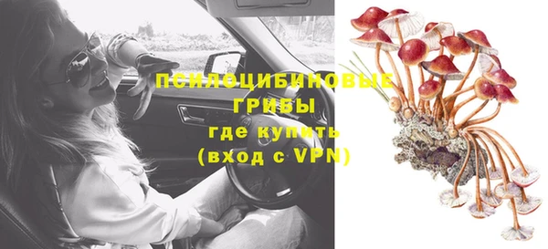 ешки Новодвинск