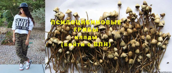 ешки Новодвинск