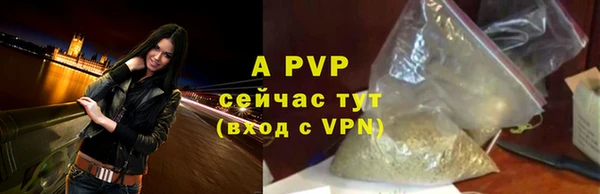 дживик Белокуриха