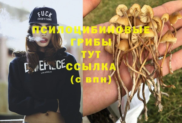 ешки Новодвинск