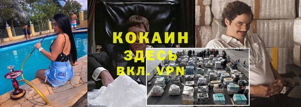 прущие крисы Новозыбков