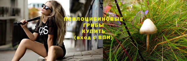 бошки Нея