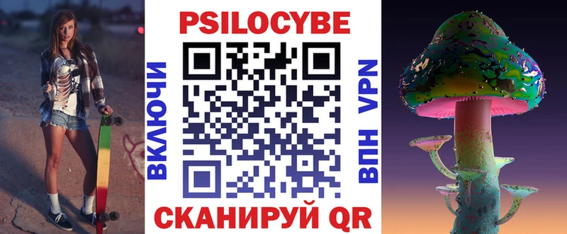 Псилоцибиновые грибы Psilocybe  Нерехта 